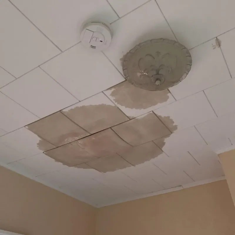 Ceiling Water Damage Repair in Port Richmond, NY